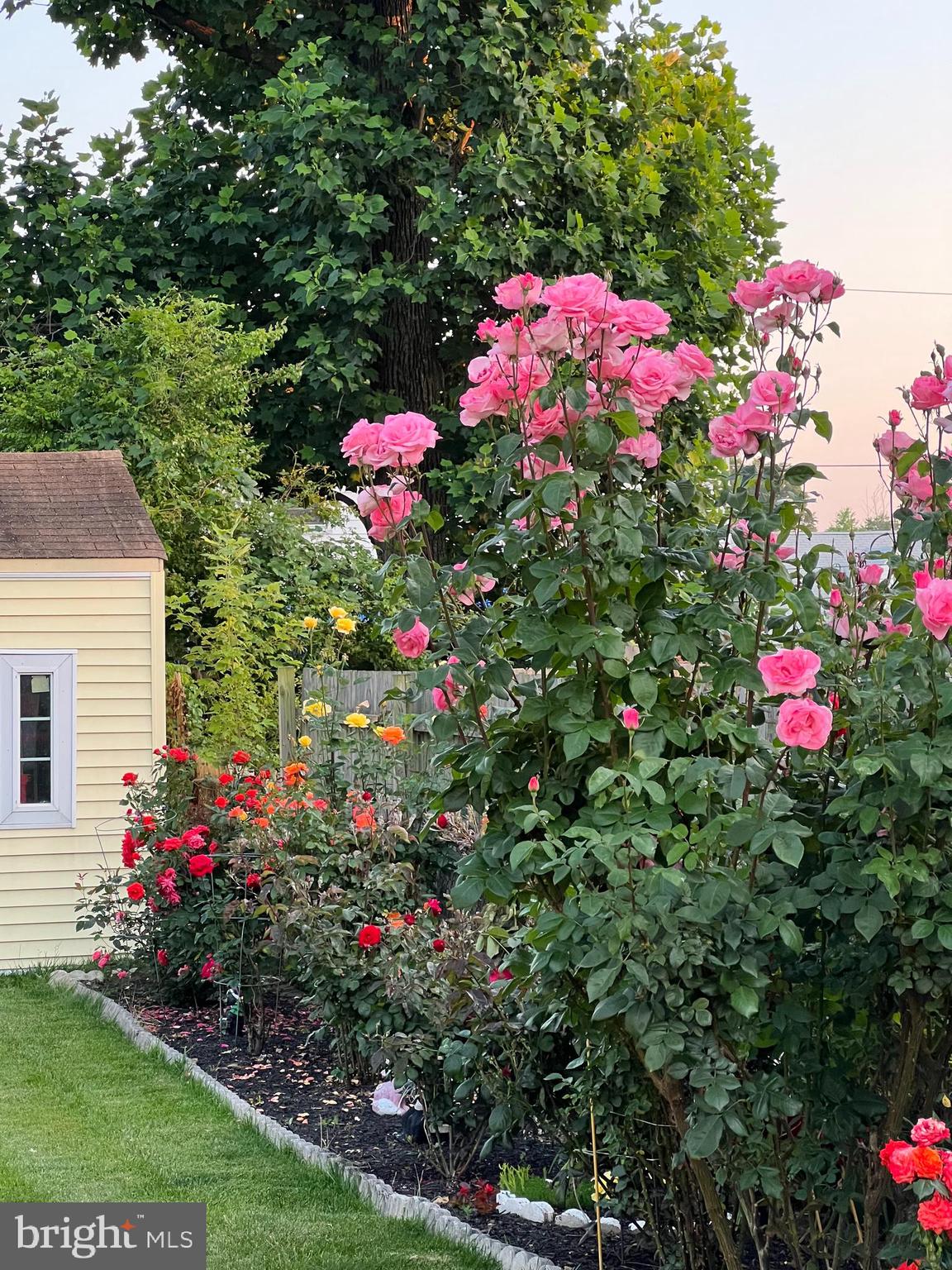 9939 Cottrell Terrace Silver Spring, MD 20903 - Photo 29 of 33 a view of a flower in a garden