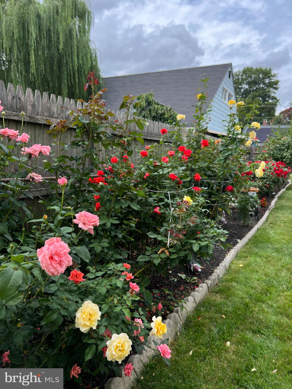 9939 Cottrell Terrace Silver Spring, MD 20903 - Photo 30 of 33 a view of a flower in a garden