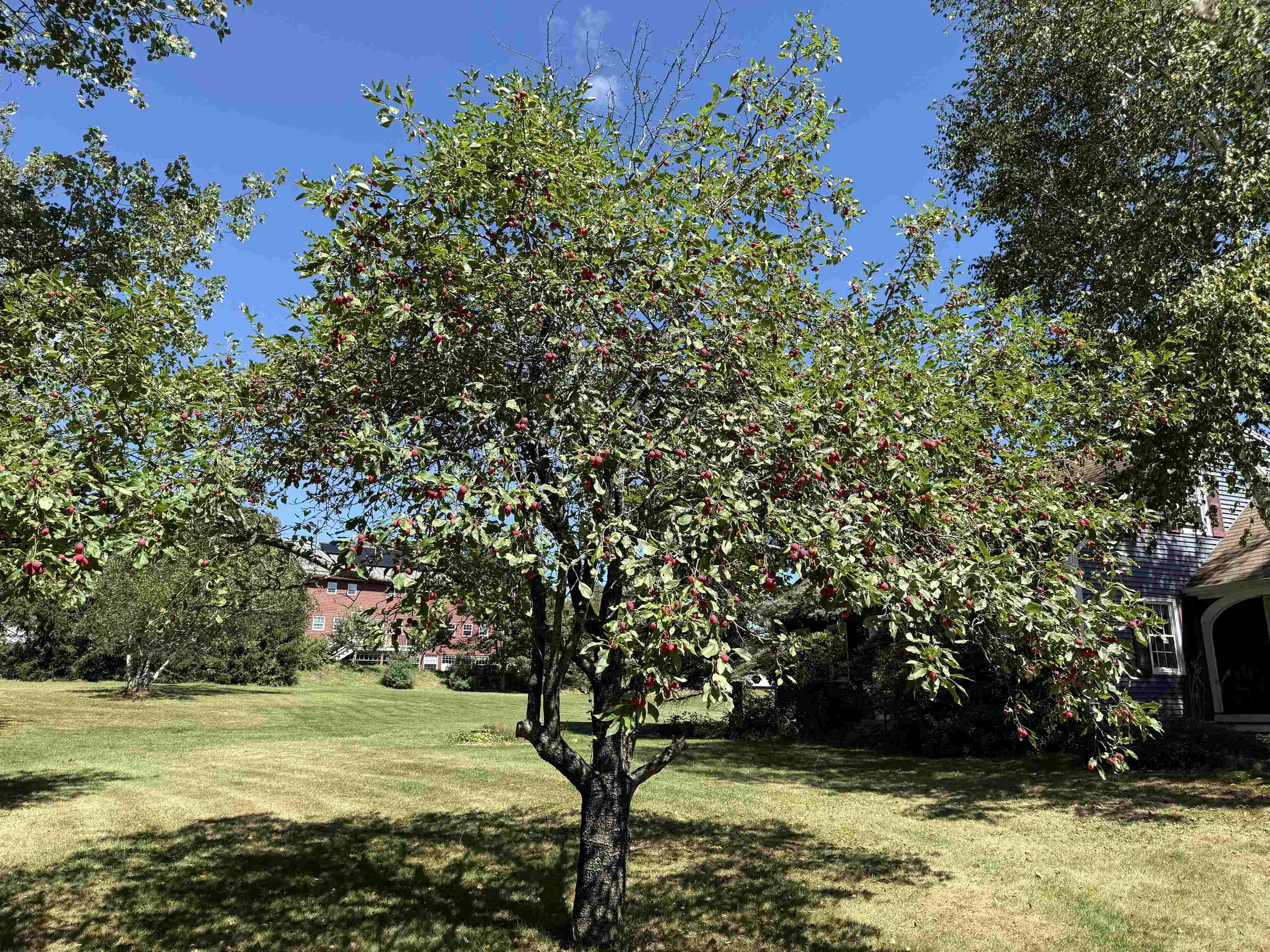 109 Old Center Road Deerfield, NH 03037 - Photo 49 of 60