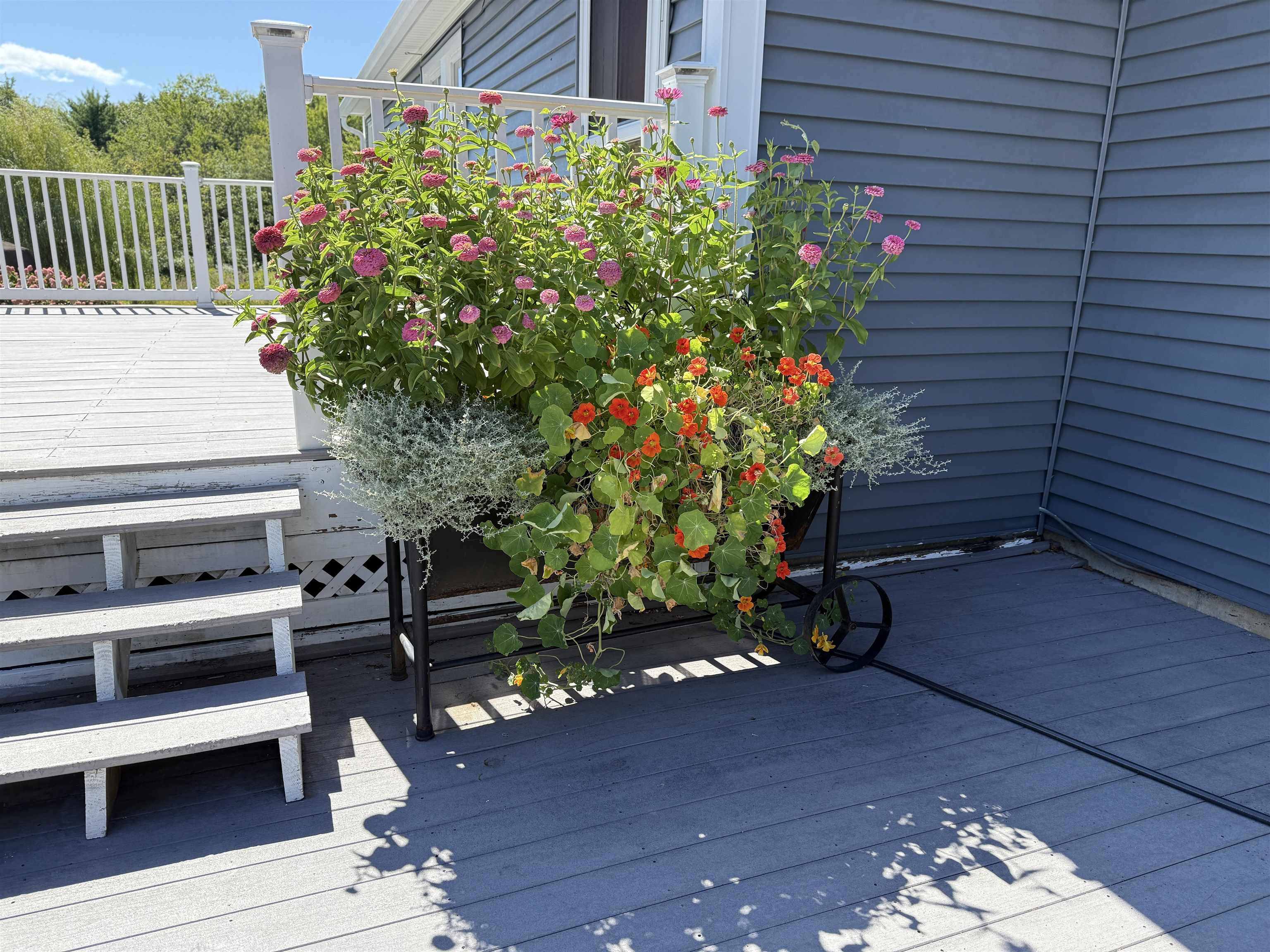 109 Old Center Road Deerfield, NH 03037 - Photo 53 of 60