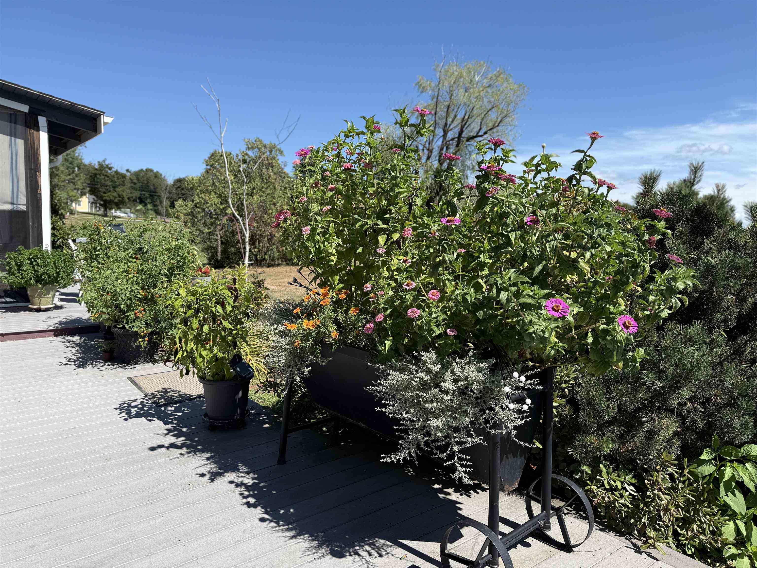 109 Old Center Road Deerfield, NH 03037 - Photo 54 of 60