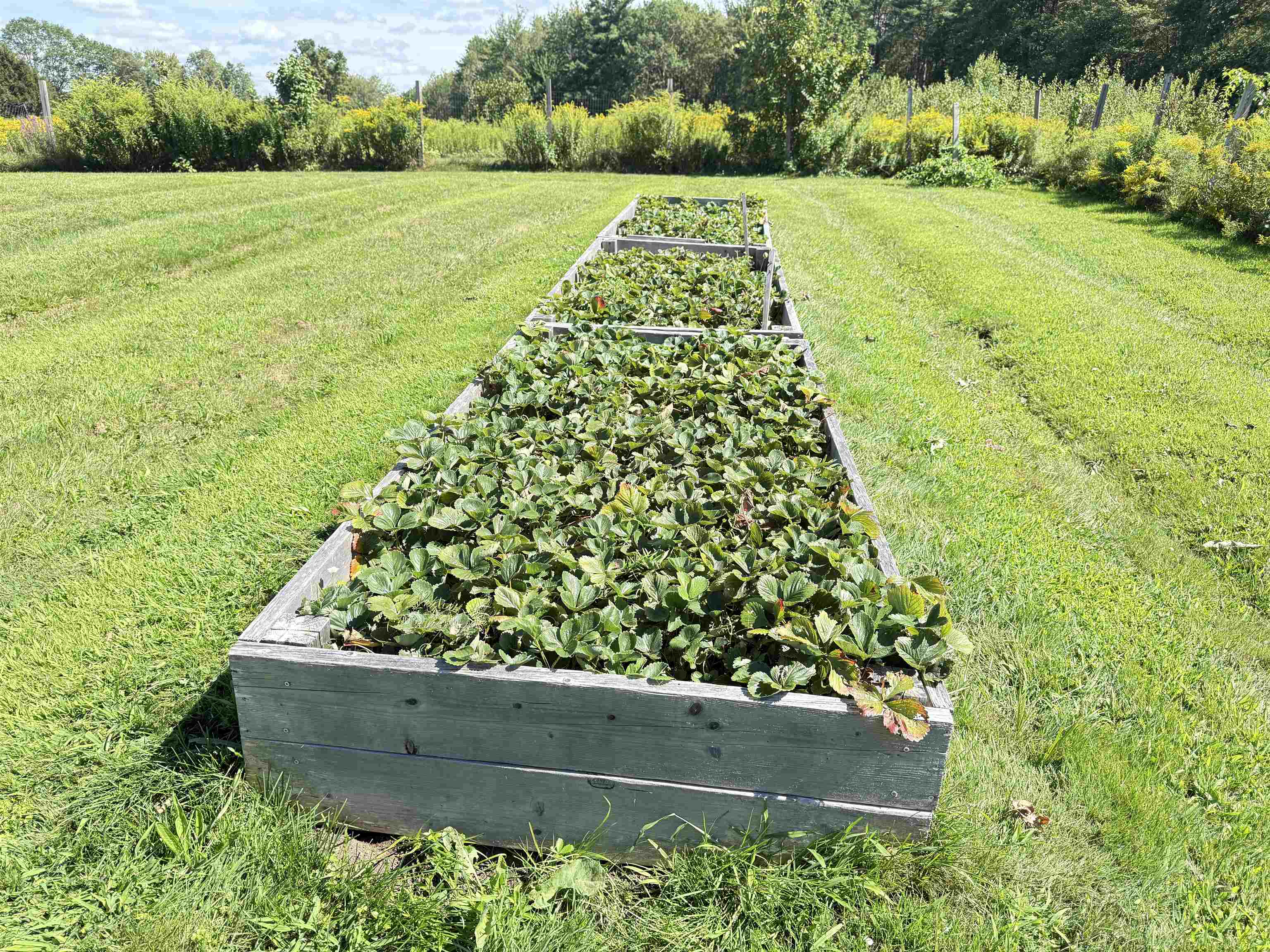 109 Old Center Road Deerfield, NH 03037 - Photo 58 of 60