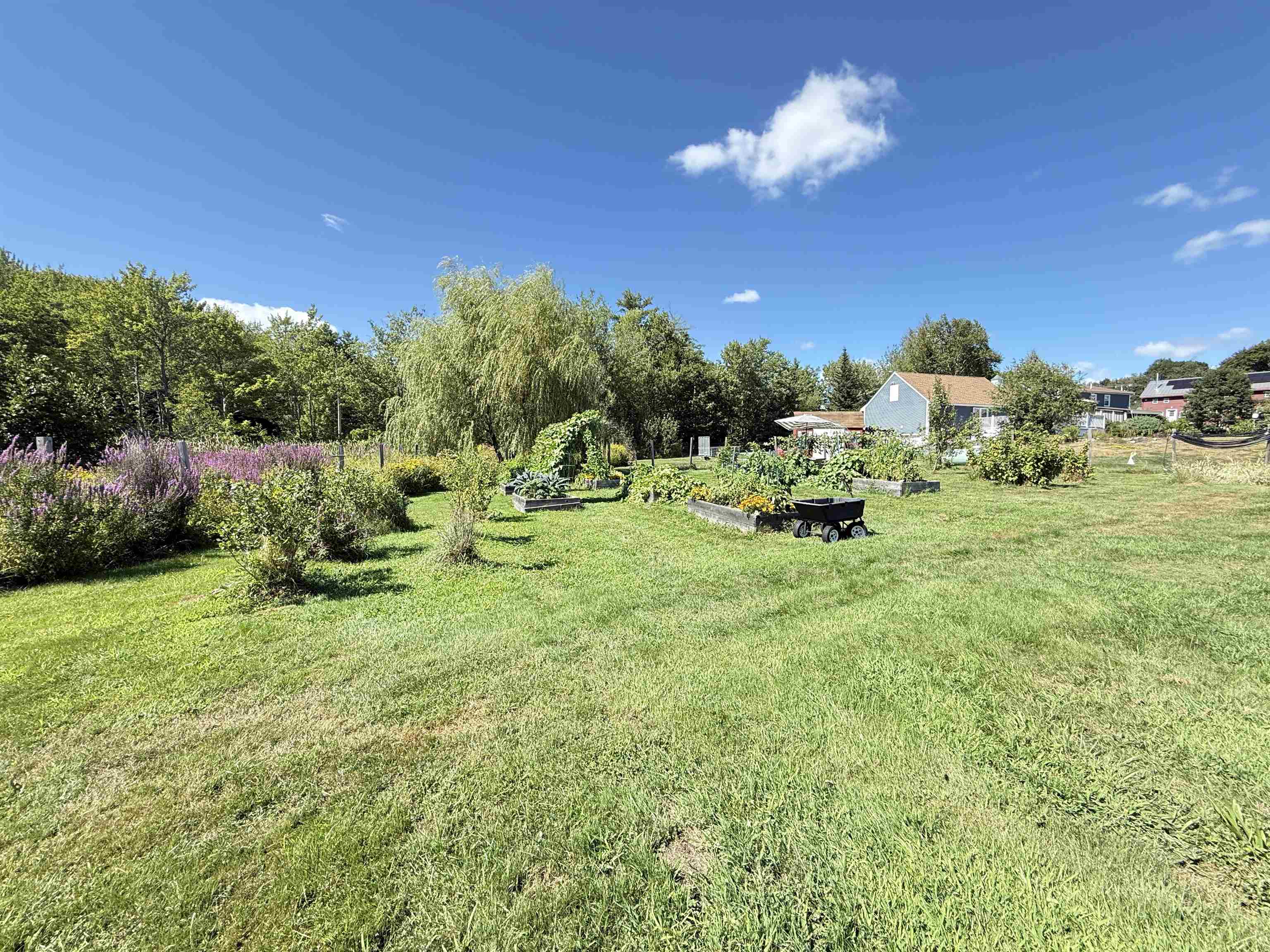 109 Old Center Road Deerfield, NH 03037 - Photo 59 of 60