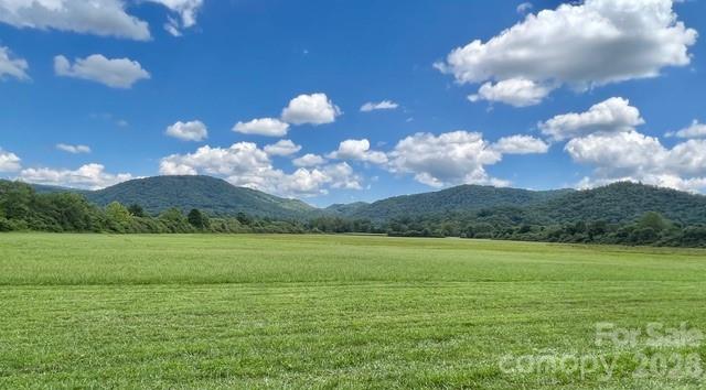 Mini Farm 2-tbd Mini Farm Brevard, NC 28712 - Photo 6 of 20