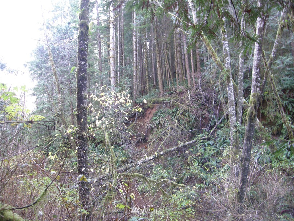 15 X Ocean Beach Road Hoquiam, WA 98550 - Photo 4 of 8 Gallery Image 4