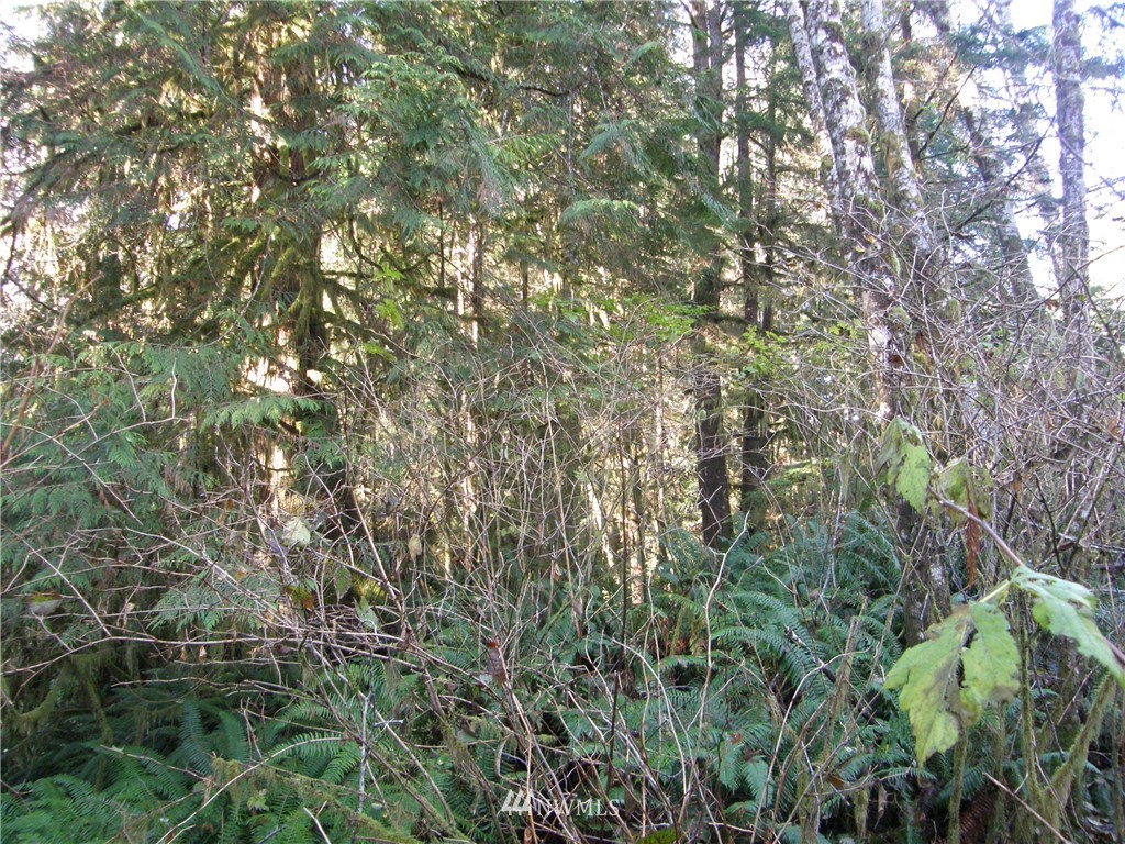 15 X Ocean Beach Road Hoquiam, WA 98550 - Photo 7 of 8 Gallery Image 7