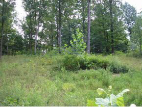 N/a Neill Road Bloomfield, IN 47424 - Photo 2 of 23