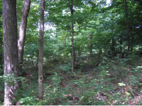 N/a Neill Road Bloomfield, IN 47424 - Photo 12 of 23