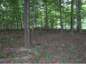 N/a Neill Road Bloomfield, IN 47424 - Photo 16 of 23