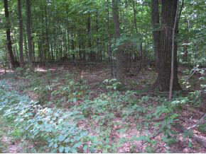 N/a Neill Road Bloomfield, IN 47424 - Photo 17 of 23
