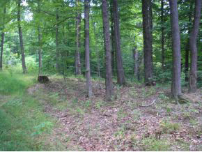 N/a Neill Road Bloomfield, IN 47424 - Photo 19 of 23