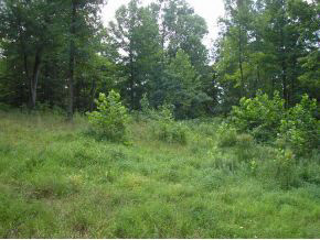 N/a Neill Road Bloomfield, IN 47424 - Photo 3 of 23
