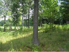 N/a Neill Road Bloomfield, IN 47424 - Photo 23 of 23
