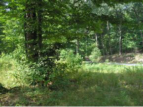 N/a Neill Road Bloomfield, IN 47424 - Photo 8 of 23