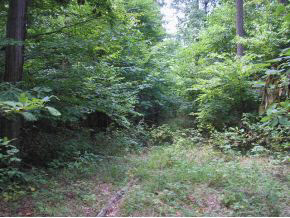 N/a Neill Road Bloomfield, IN 47424 - Photo 9 of 23