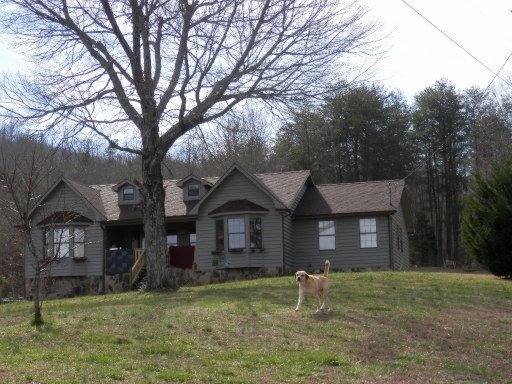160 Martin Road Tellico Plains, TN 37385 - Photo 1 of 14 Primary Photo