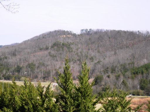 160 Martin Road Tellico Plains, TN 37385 - Photo 14 of 14 Additional Photo