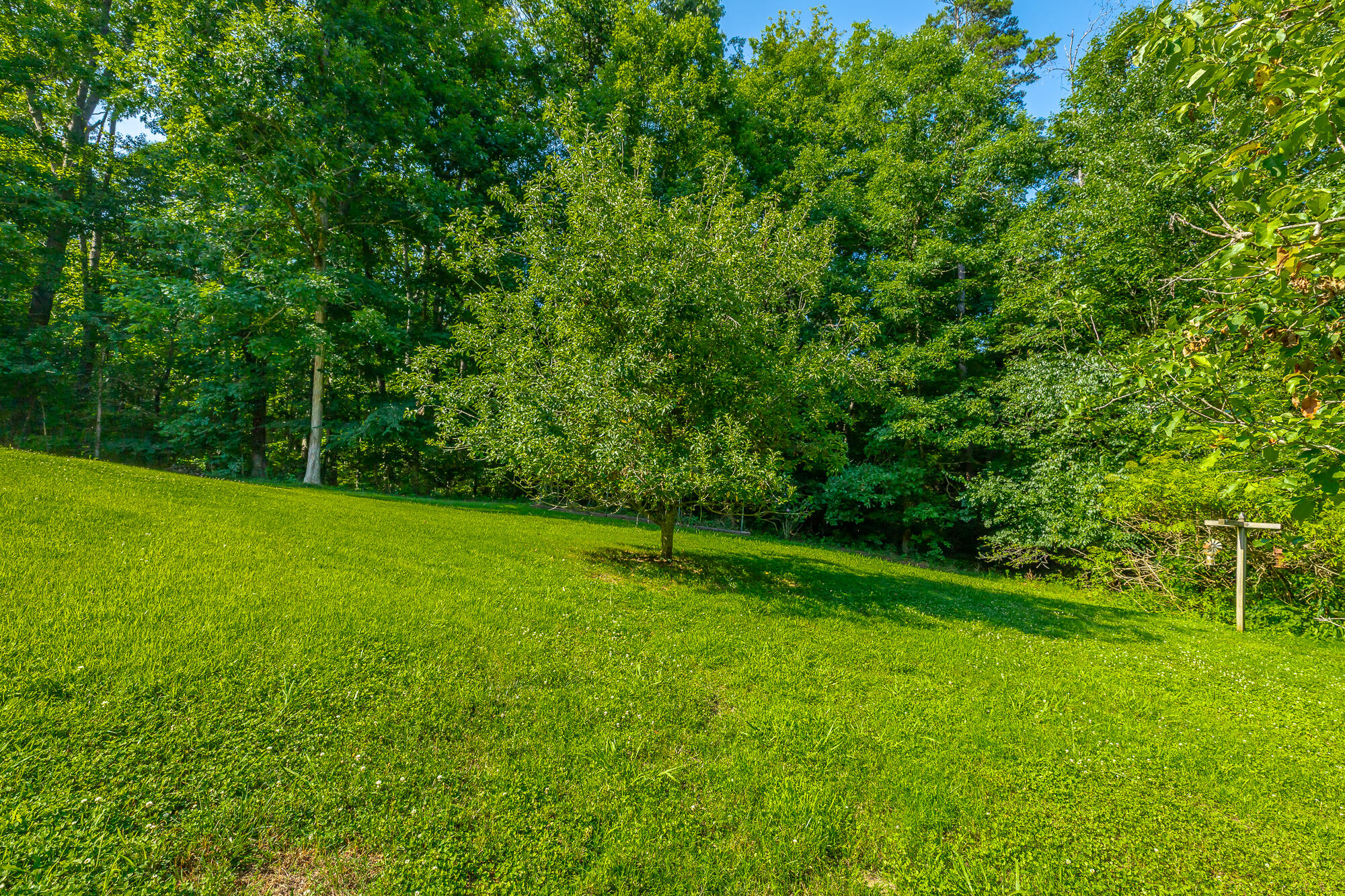 98 Etowah Ridge Ringgold, GA 30736 - Photo 114 of 124 98 Etowah Ridge HD-111