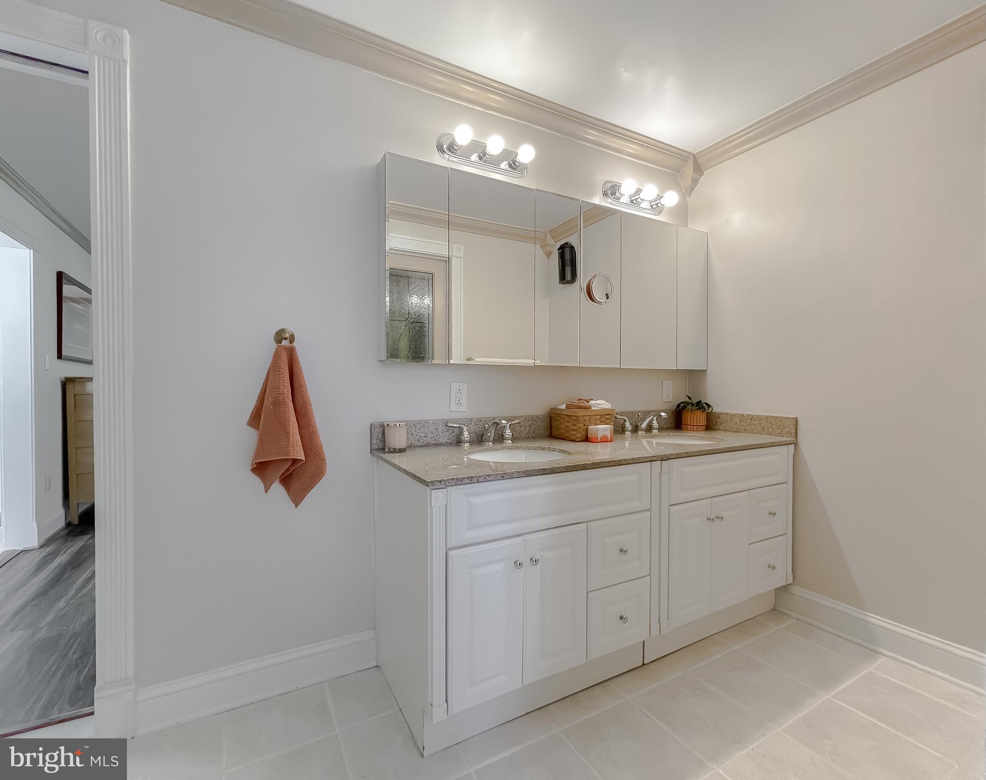 239 Frontier Trail Lusby, MD 20657 - Photo 20 of 73 Double sinks and custom crown molding