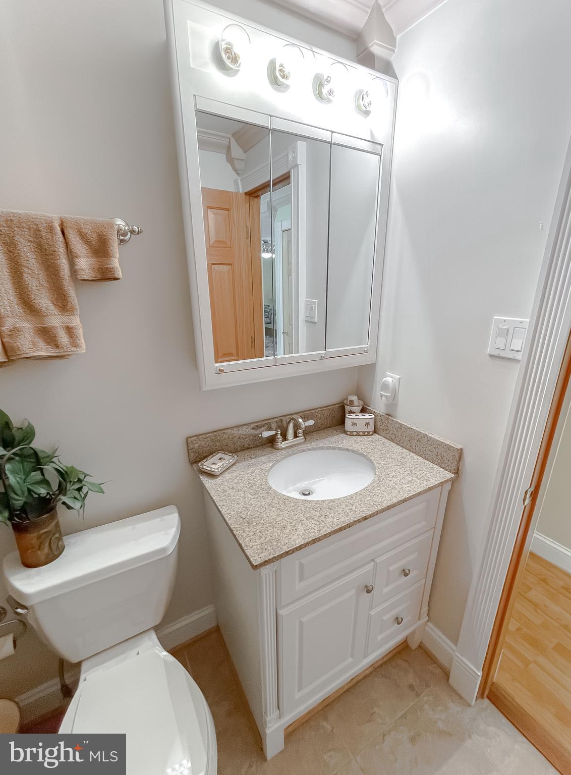 239 Frontier Trail Lusby, MD 20657 - Photo 32 of 73 Hall bath with granite countertops