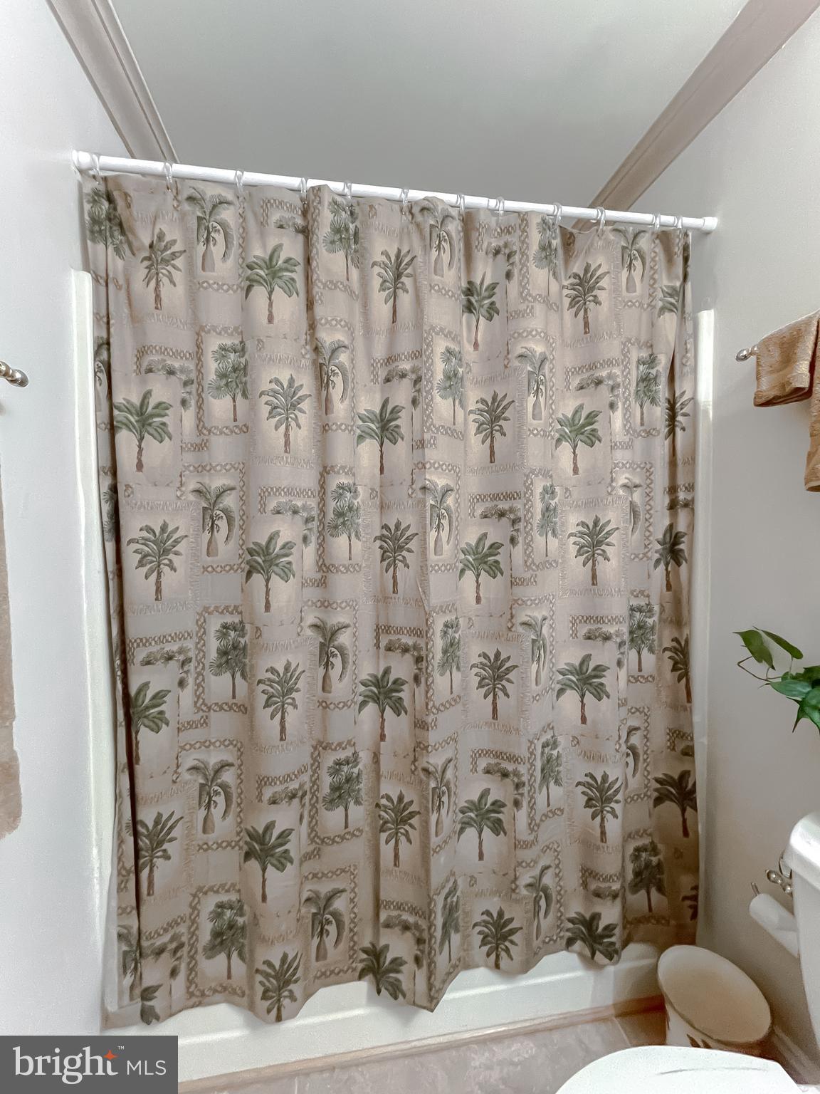 239 Frontier Trail Lusby, MD 20657 - Photo 33 of 73 Full tub/shower combo in hall bath