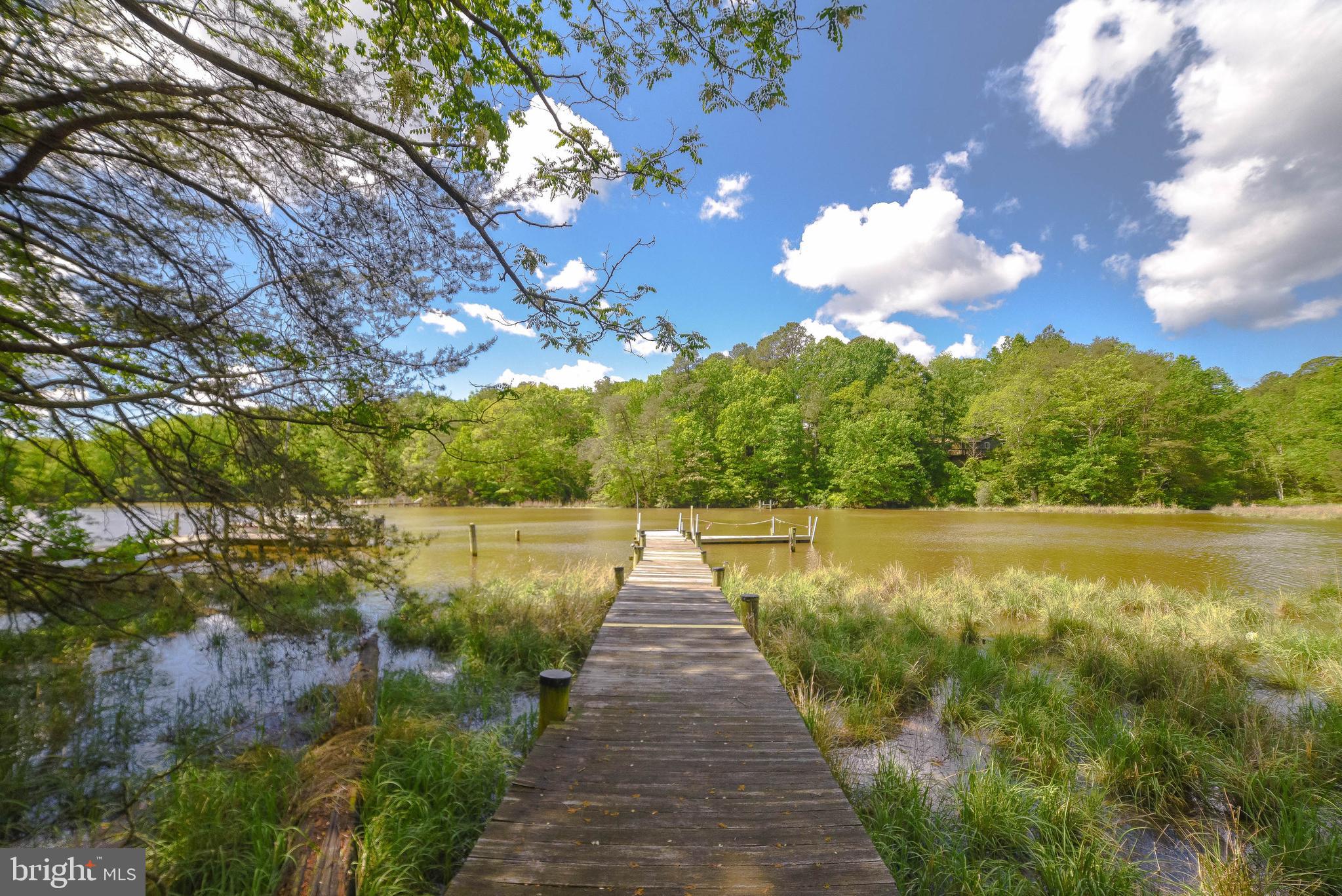 239 Frontier Trail Lusby, MD 20657 - Photo 58 of 73 Wide creek view surrounded by mature trees