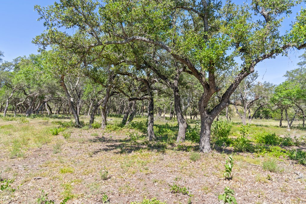 12 Ranch Road, Unit 12 Blanco, TX 78606 - Photo 11 of 14