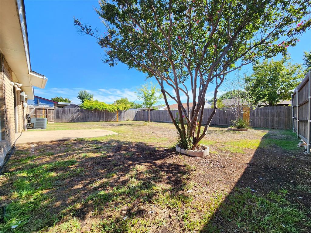 5541 Ragan Drive The Colony, TX 75056 - Photo 2 of 23 a view of a yard with an tree