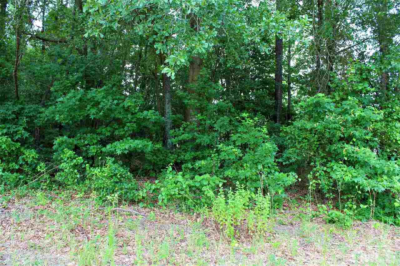 Cobb Road Angier, NC 27501 - Photo 11 of 26 Gallery Image 11