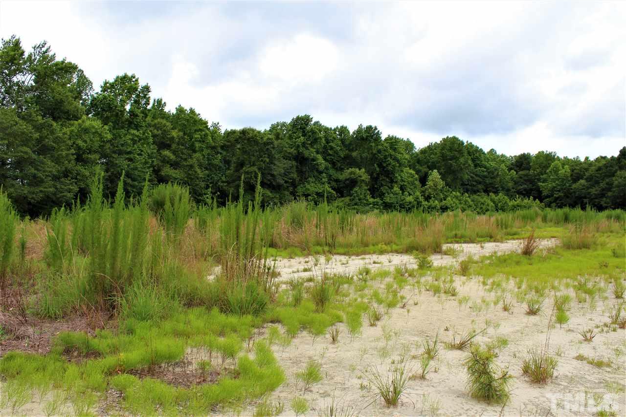 Cobb Road Angier, NC 27501 - Photo 12 of 26 A section of cleared land.