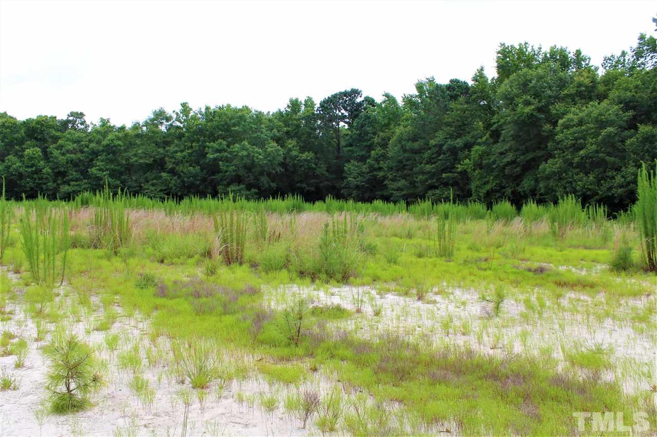 Cobb Road Angier, NC 27501 - Photo 13 of 26 A section of cleared land.