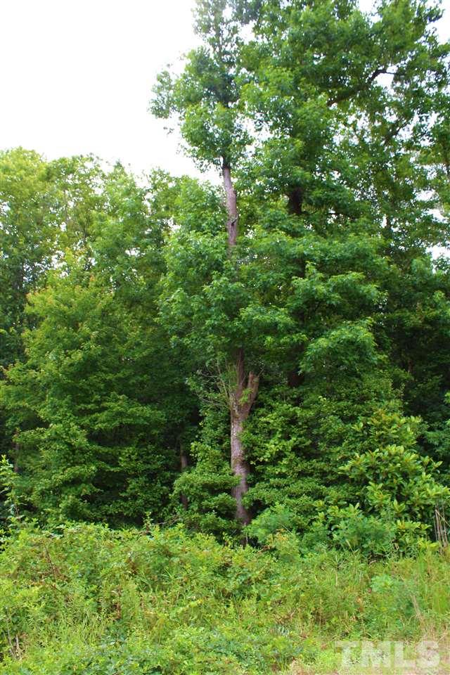 Cobb Road Angier, NC 27501 - Photo 8 of 26 Gallery Image 8