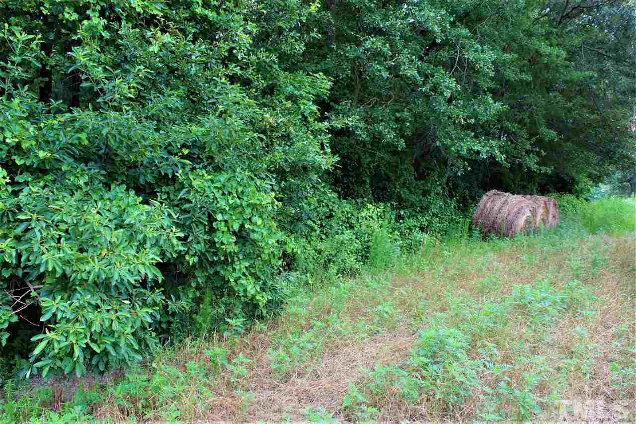 Cobb Road Angier, NC 27501 - Photo 10 of 26 Gallery Image 10