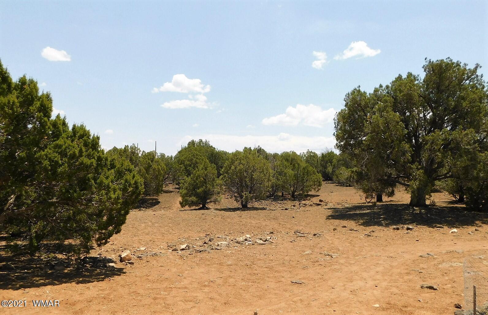 Tbd Aleosa Way Show Low, AZ 85901 - Photo 20 of 27 a view of outdoor space with trees