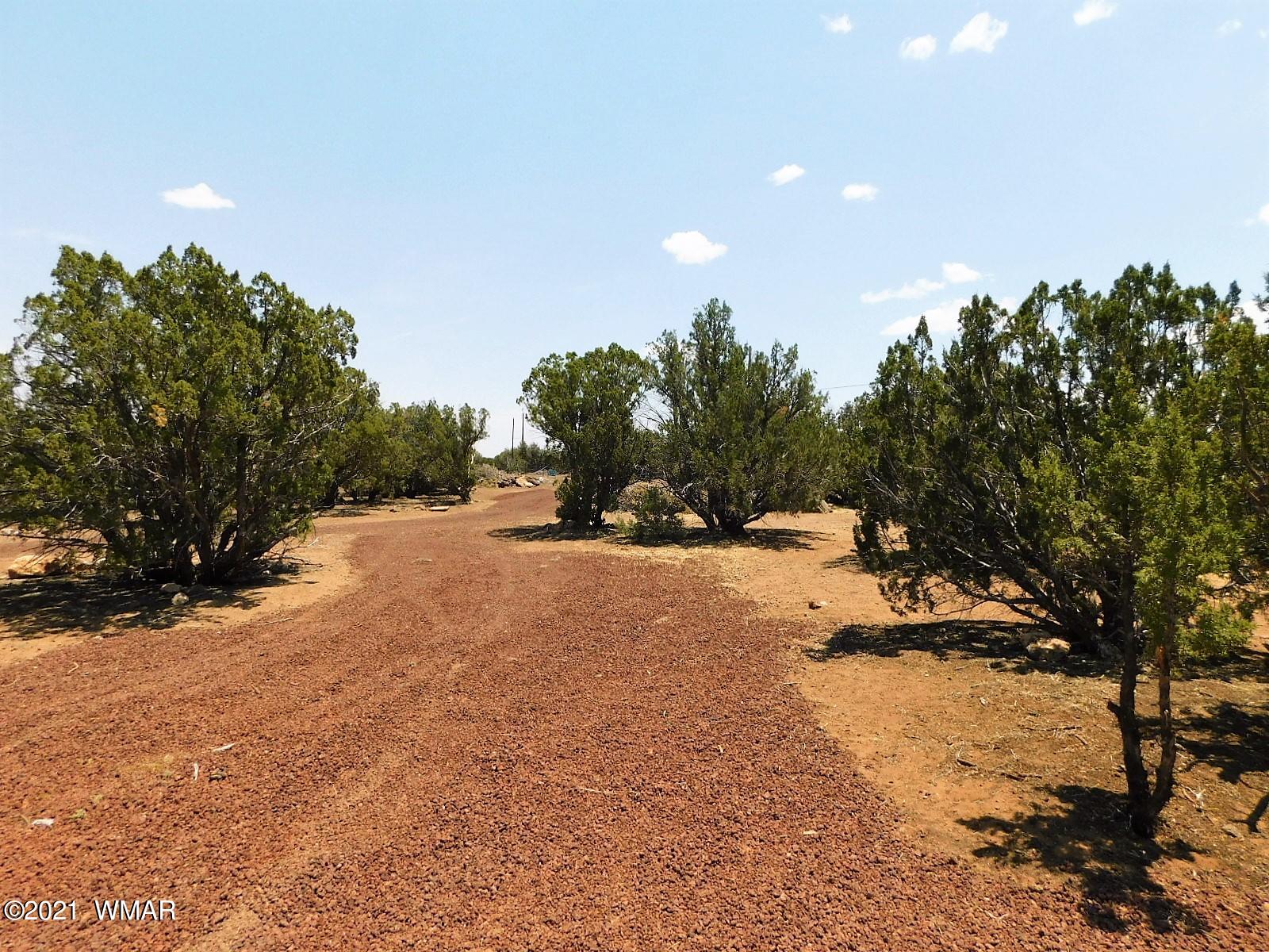 Tbd Aleosa Way Show Low, AZ 85901 - Photo 25 of 27 a view of a road with a tree in the background