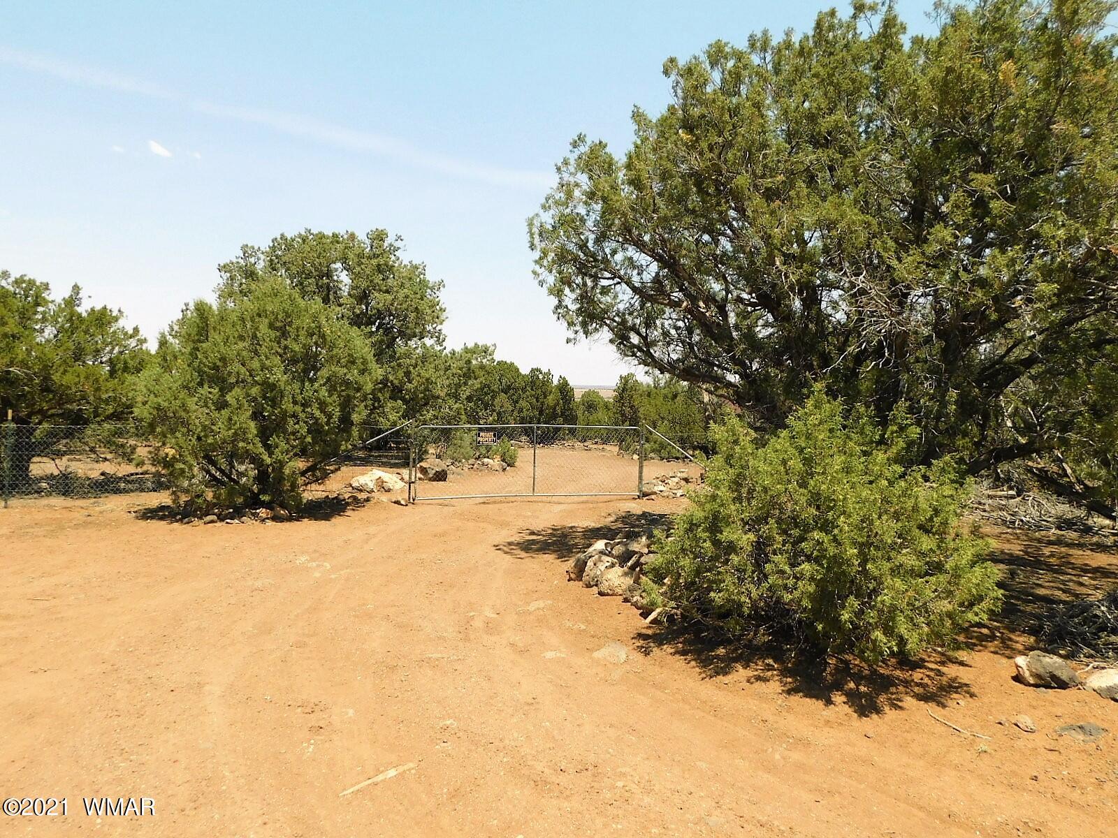 Tbd Aleosa Way Show Low, AZ 85901 - Photo 26 of 27 a view of a yard with a tree