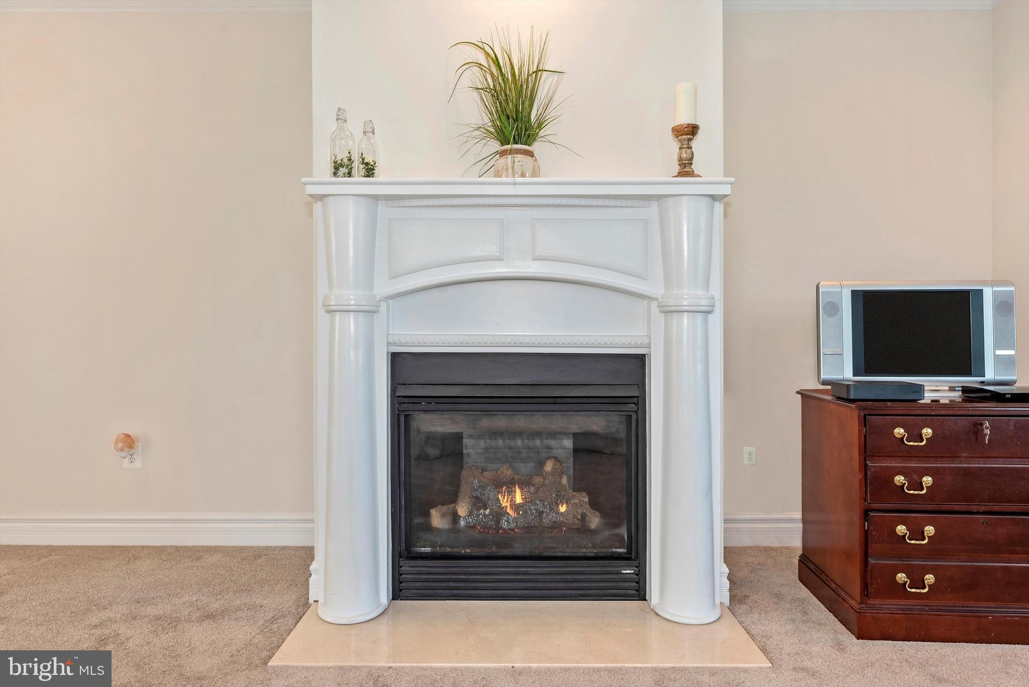 7525 Old Receiver Road Frederick, MD 21702 - Photo 24 of 63 Master Suite Gas Fireplace
