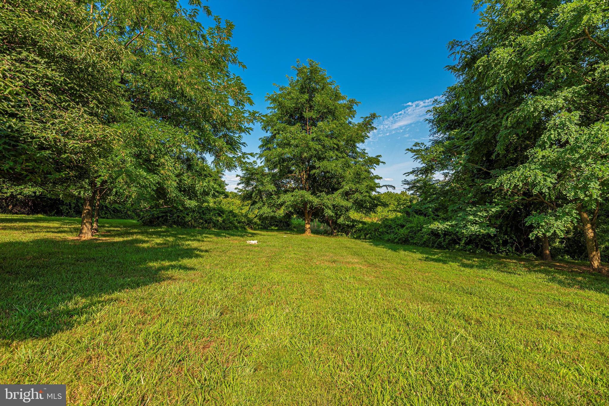 7525 Old Receiver Road Frederick, MD 21702 - Photo 59 of 63