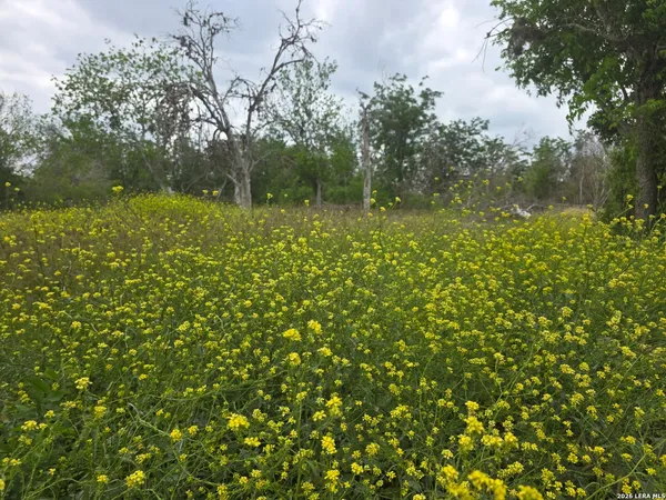 $359,000 | 2324 East Chavaneaux Road, San Antonio, TX 78214