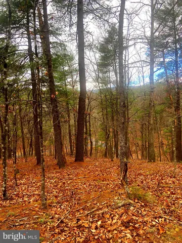 $19,000 | King Street, Basye, VA 22810