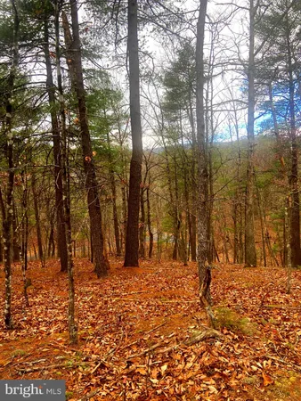 $18,100 | King Street, Basye, VA 22810