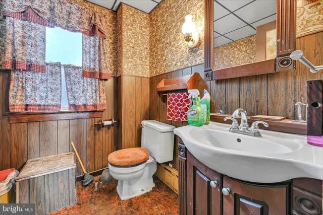 a bathroom with a sink a toilet and a mirror