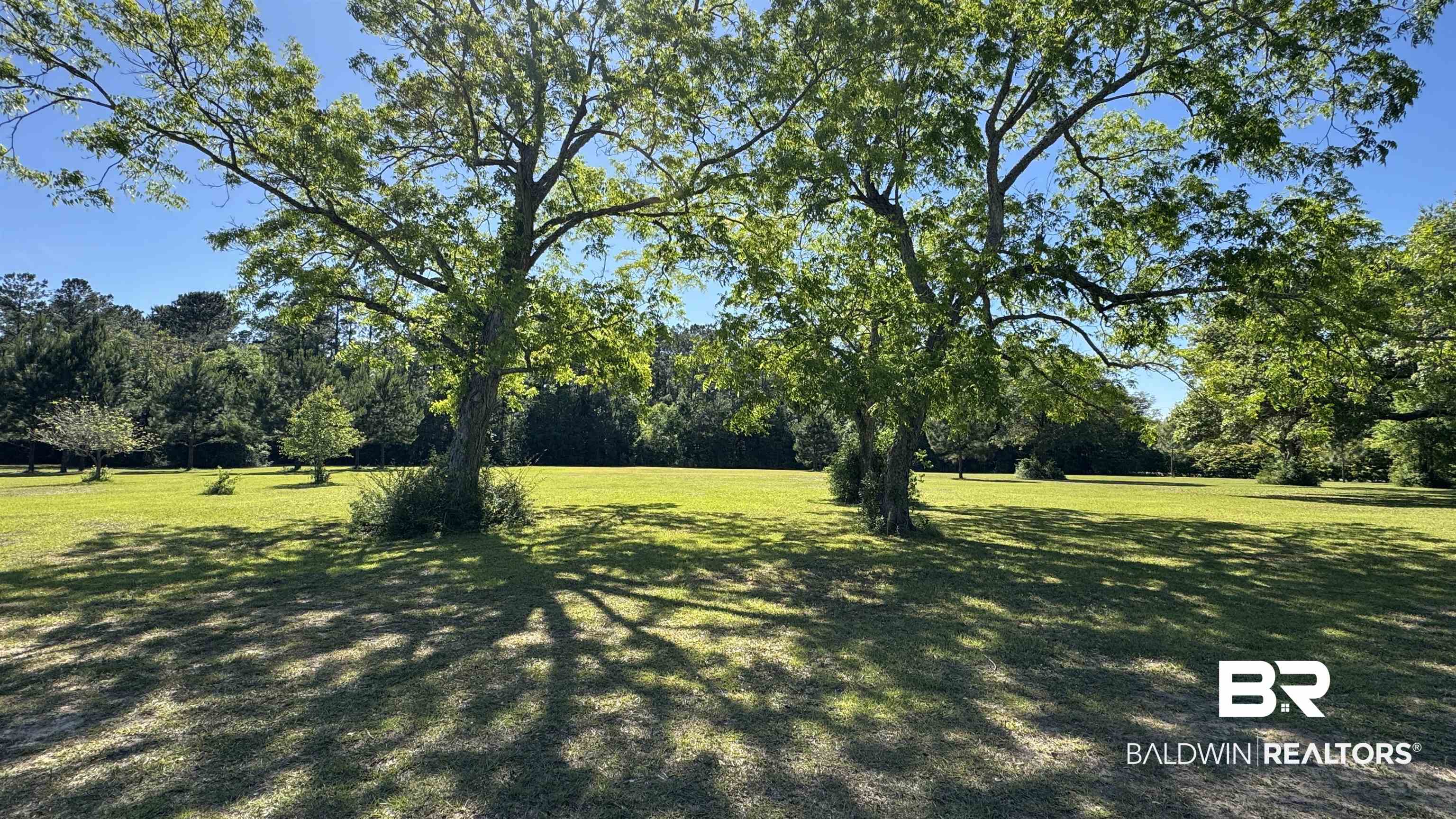 33370 Highway 98 Lillian, AL 36549 - Photo 46 of 58 Expansive green lawn with mature trees and natural landscaping