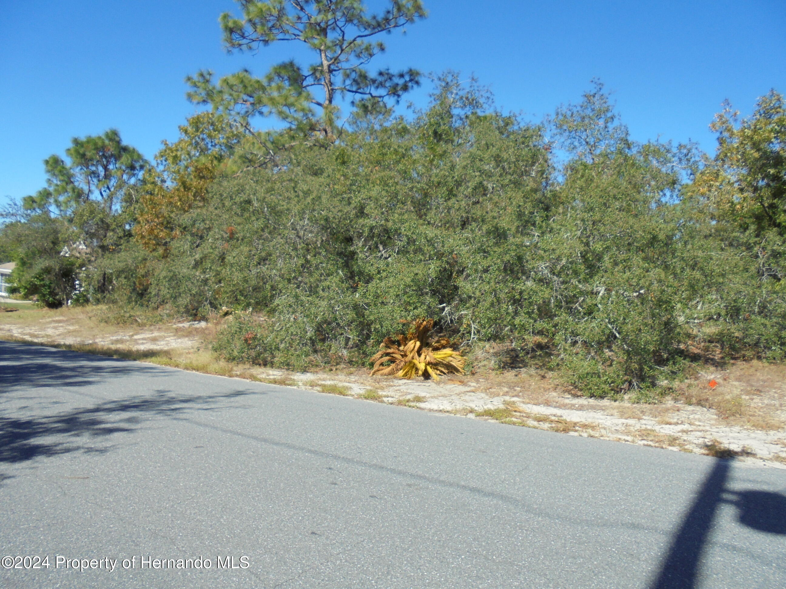0 Deep Creek Drive Spring Hill, FL 34609 - Photo 2 of 5