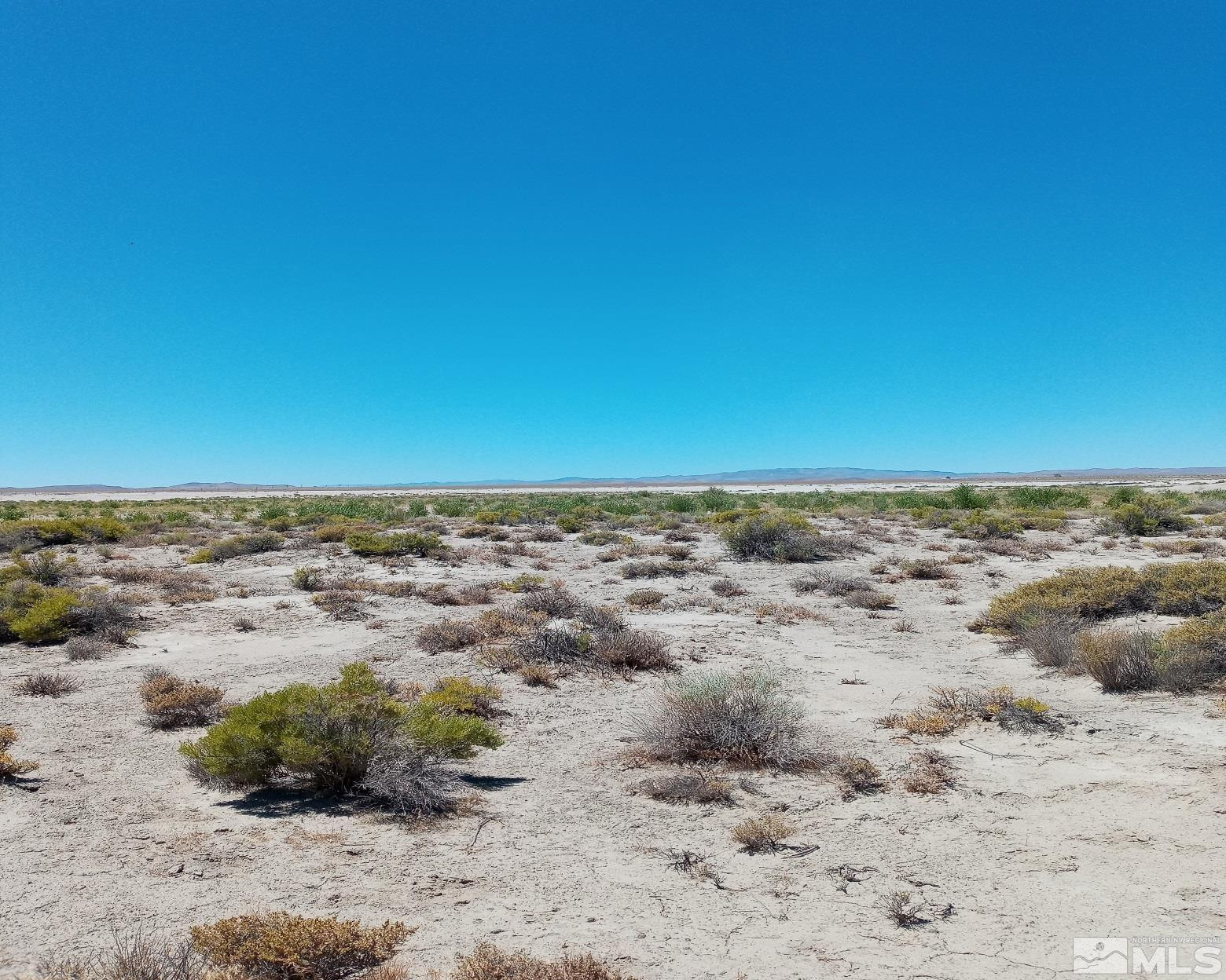 Apn # Apn Fallon, NV 89406 - Photo 5 of 6
