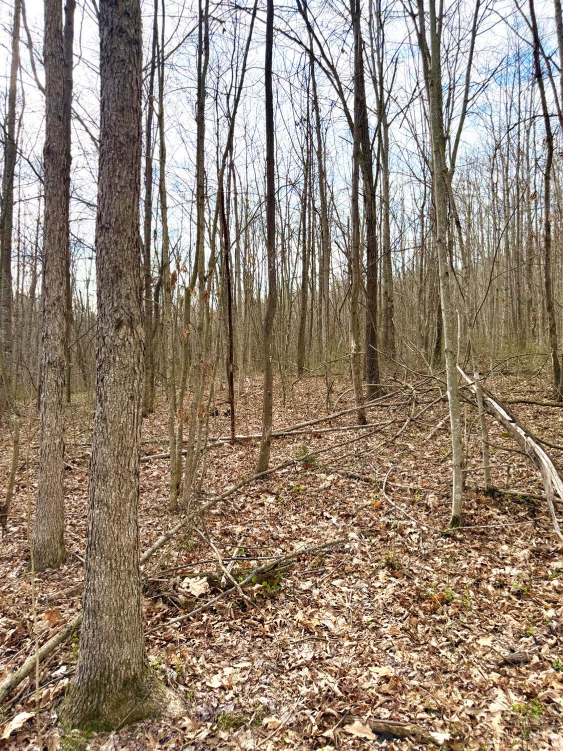 0 Fyffe Hollow Road Chillicothe, OH 45601 - Photo 85 of 96