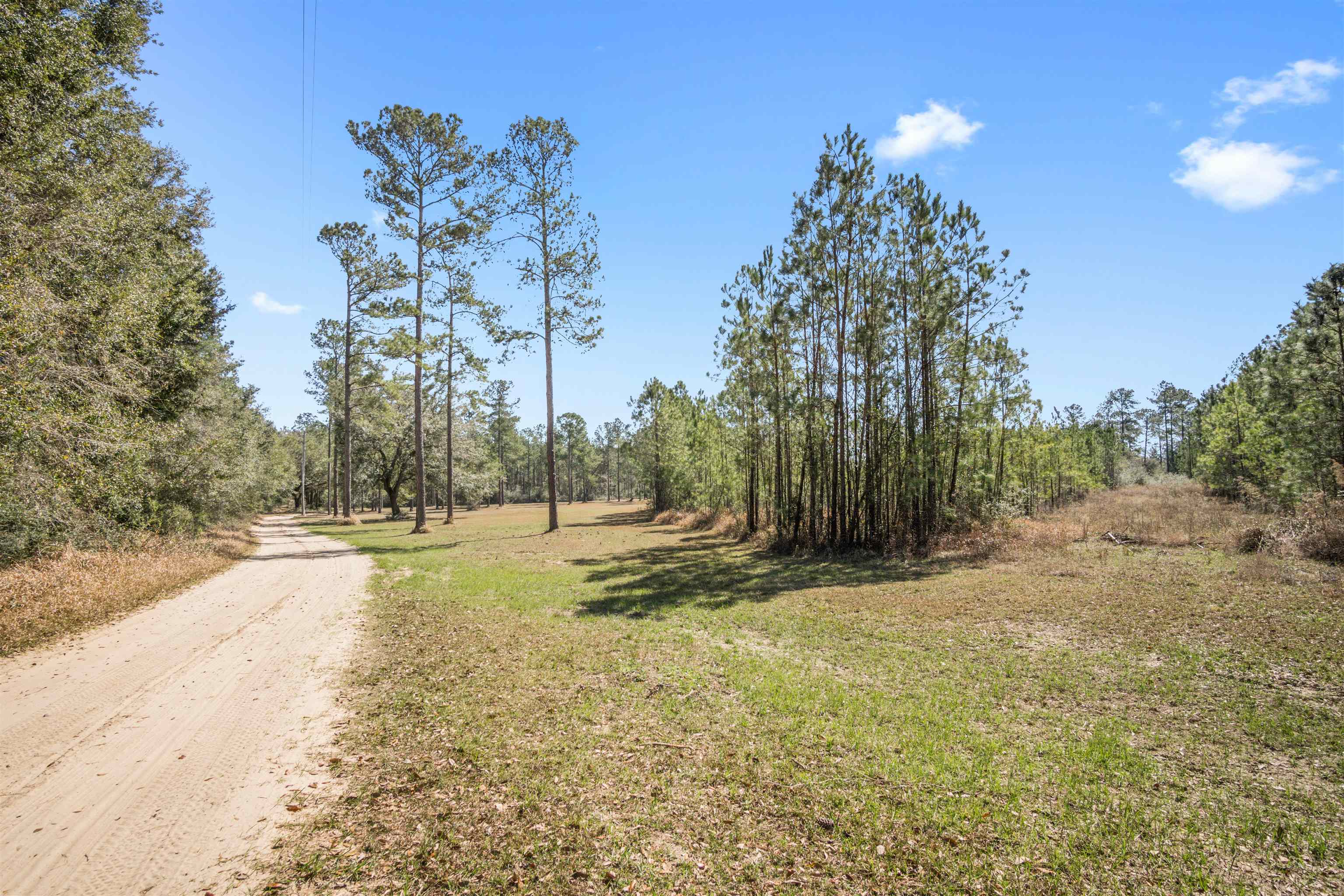 29476 C P Adams Lane Elberta, AL 36530 - Photo 13 of 45