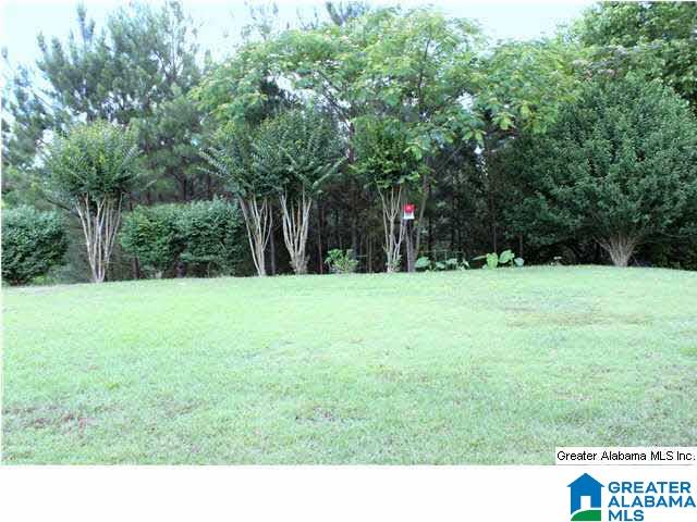 748 Narrows Point Circle Birmingham, AL 35242 - Photo 21 of 26