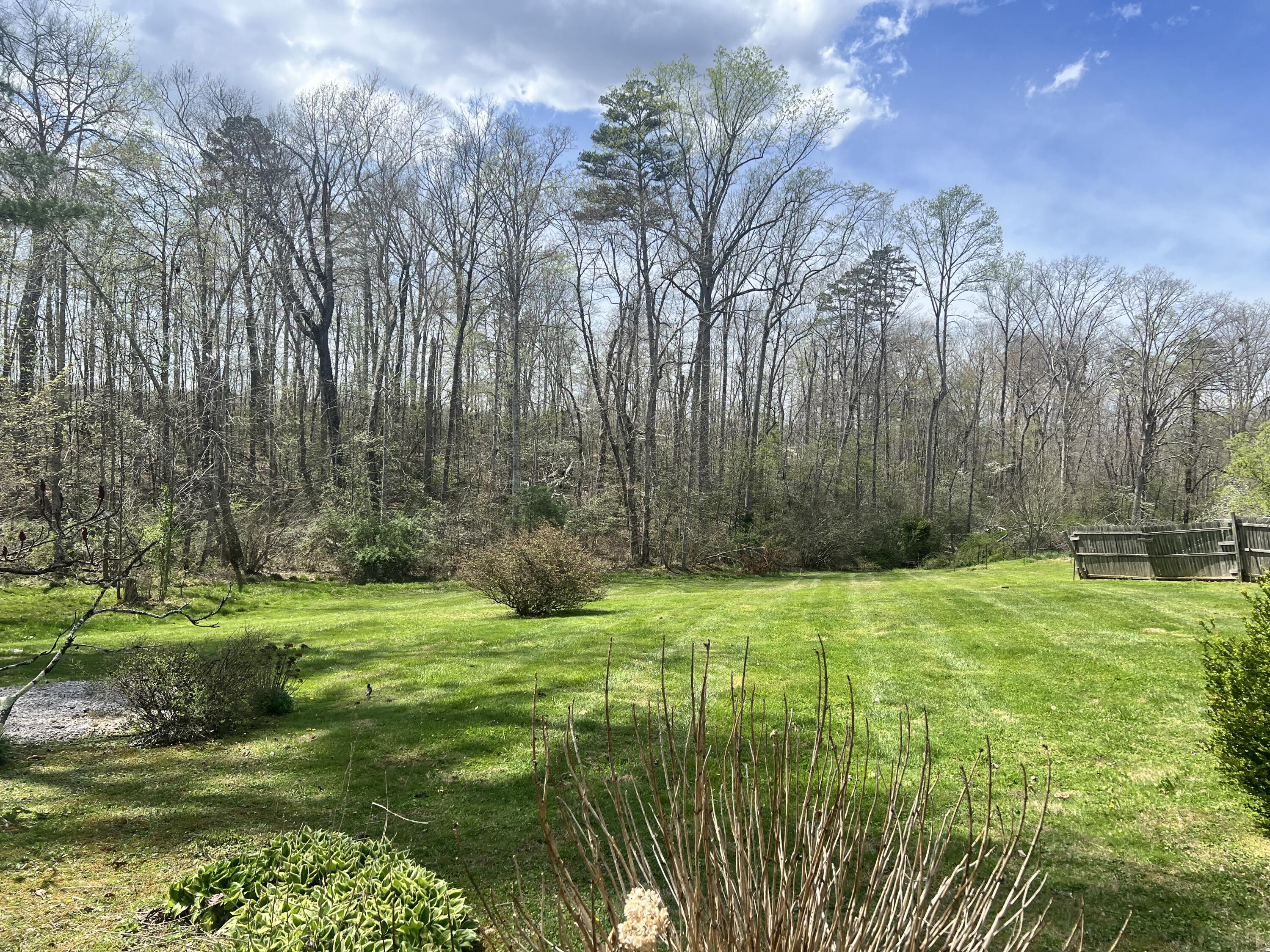 171 Stoney Fork Road Corbin, KY 40701 - Photo 10 of 20 IMG_7406