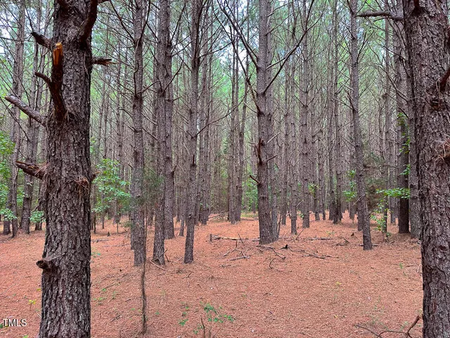 $2,256,000 | 0 Us 401 Highway South, Youngsville, NC 27596